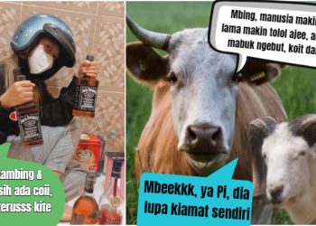 Unta, Kambing dan Sapi Masih Berkeliaran, Tanda Kiamat Masih lama! Tapi Para Ahli Bilang Begini