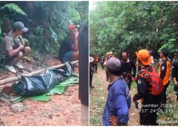 Lima Penambang Emas yang Tertimbun Longsor di Perbatasan Tabalong-Paser Berhasil di Evakuasi, Kondisi Tewas!