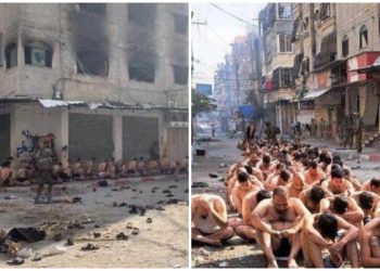 Biadab! Pasukan Dajjal Israel Tangkap dan Telanjangi Warga Palestina