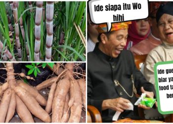 Siap-siap Singkong dan Tebu Bakalan Mahal, Prabowo Sebut Ini Bahan Baku BBM, Apa Kabar Kendaraan Listrik?