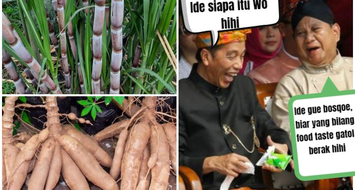 Siap-siap Singkong dan Tebu Bakalan Mahal, Prabowo Sebut Ini Bahan Baku BBM, Apa Kabar Kendaraan Listrik?