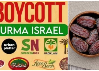 Kurma Made In Israel Diharamkan MUI, Ini Jenis-jenis Kurma Produk Yahudi!