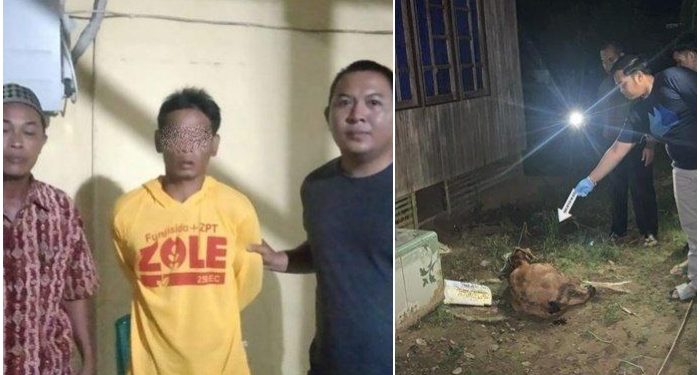 Anak Durhaka, Dinasehati Jangan Jual Kambing, Ortu Ditimpas Sampai Tewas!