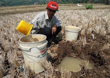 Kemarau Tahun Ini Indonesia Kembali Membara, Kalimantan Barat Paling Panas di Borneo
