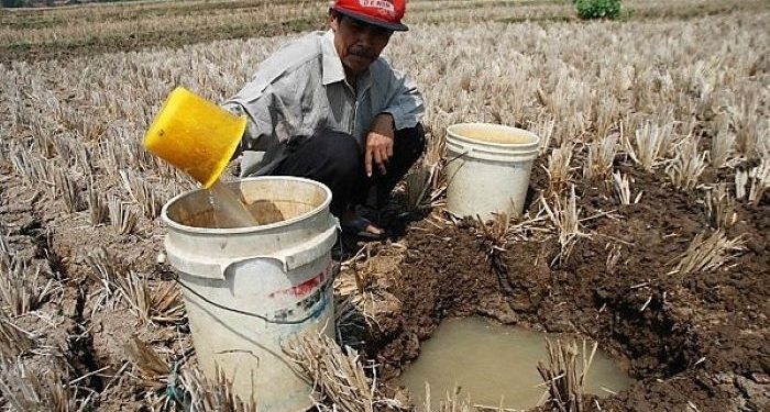 Kemarau Tahun Ini Indonesia Kembali Membara, Kalimantan Barat Paling Panas di Borneo