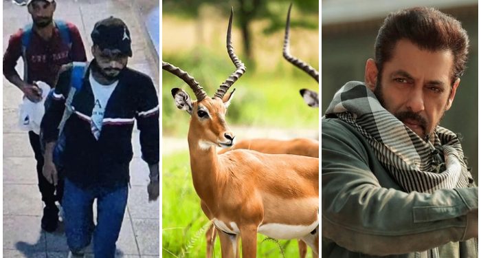 Anjaii! Apartemen Megabintang Bollywood Salman Khan ditembaki Geng Pemuja Antelop