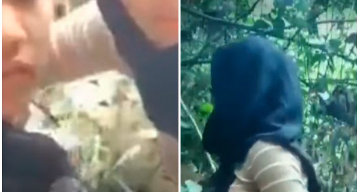 Mesum di Bulan Puasa, Atlet Voli di Pacitan Kuda-kudaan di Hutan, di Rekam Pula dan Kini Nyebar