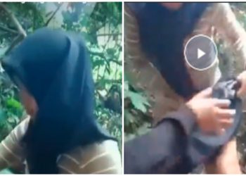 Inisial Pelaku Mesum di Hutan Pacitan Terkuak, Masih Pelajar Ngakunya Buat Koleksi Pribadi, Tapi Kok Nyebar?