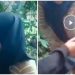 Inisial Pelaku Mesum di Hutan Pacitan Terkuak, Masih Pelajar Ngakunya Buat Koleksi Pribadi, Tapi Kok Nyebar?