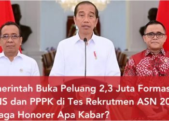 Sudah Daftar Jadi ASN atau PPPK? Ini Jadwal Tes nya, Pendaftaran Tahap II Bulan Juli 2024