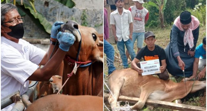 17 Juni Idul Adha, Niat Ber-kurban Kambing, Domba atau Sapi Bisa Untuk Berapa Orang, Simak Ini!