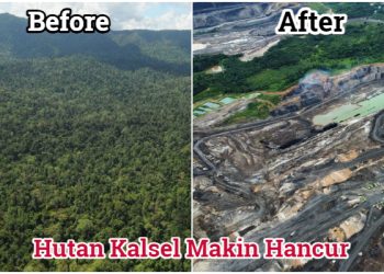 Mengejutkan, KPK Sebut Puluhan Ribu Hektare Tambang Ilegal Beroperasi di Kalsel