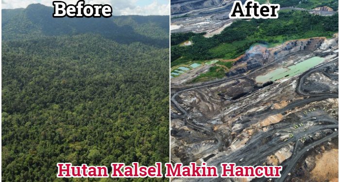 Mengejutkan, KPK Sebut Puluhan Ribu Hektare Tambang Ilegal Beroperasi di Kalsel