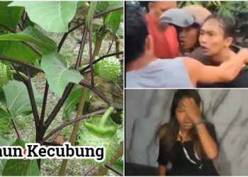 Anjrit! Mabuk Kecubung Bikin Geger Banjarmasin, 2 Koit Puluhan Orang Hampir Gila