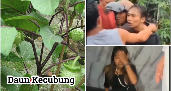 Anjrit! Mabuk Kecubung Bikin Geger Banjarmasin, 2 Koit Puluhan Orang Hampir Gila