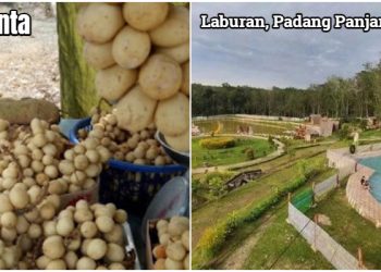 Siap-siap Desa-desa di Kecamatan Tanta Akan Naik Pangkat Jadi Kawasan Perkotaan