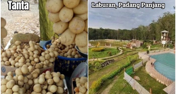 Siap-siap Desa-desa di Kecamatan Tanta Akan Naik Pangkat Jadi Kawasan Perkotaan