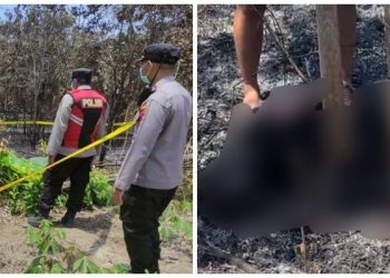 Jasad Gosong di Jalan Nan Sarunai Ternyata Warga Desa Mangkusip Kecamatan Tanta, Penyebab Terbakar Masih di Sidik!