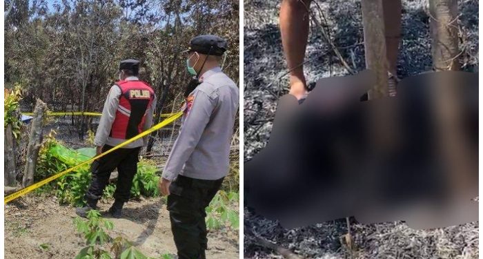 Jasad Gosong di Jalan Nan Sarunai Ternyata Warga Desa Mangkusip Kecamatan Tanta, Penyebab Terbakar Masih di Sidik!