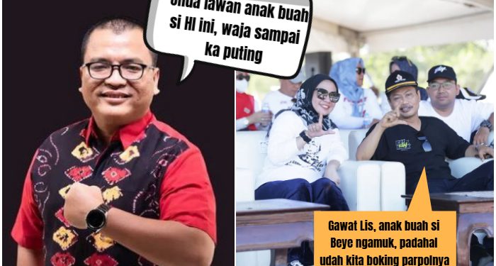 Hanya Menang 30% saja Lawan Suara Tak Sah, Lisa-Wartono Digugat Denny Indrayana ke MK