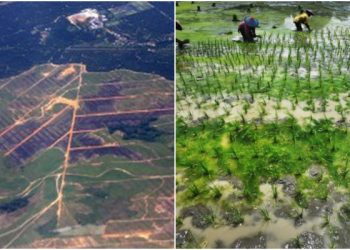 Sejak 2016 PDRB Tabalong Tidak Pernah Meningkat, Terlalu Tergantung Batubara!