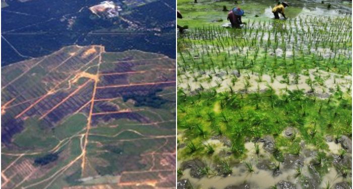 Sejak 2016 PDRB Tabalong Tidak Pernah Meningkat, Terlalu Tergantung Batubara!