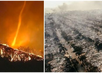 Amerika Serikat Masih Panik Api Los Angeles Belum Padam, Muncul Teror Baru Lebih Menakutkan!