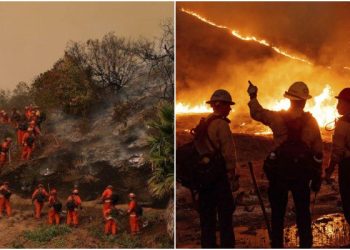 Api Masih Berkobar di Los Angeles, Napi Terpaksa di Lepaskan dan di Suruh Lakukan Ini