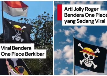 Bendera Jolly Roger One Piece Sindiran Keras Pada Pemerintah Prabowo-Gibran