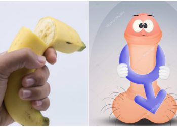 Penis Bisa Patah? Terlalu Semangat Bercinta Mr P Pria ini Kletak…Patah!