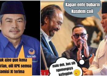Politikus Partai Nasdem Satori Mulai Bernyanyi, Sebut Semua Anggota Komisi XI DPR-RI Terima Duit!