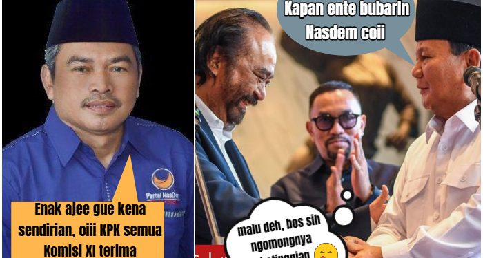 Politikus Partai Nasdem Satori Mulai Bernyanyi, Sebut Semua Anggota Komisi XI DPR-RI Terima Duit!