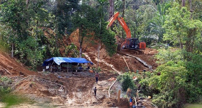 Di bekingi Aparat Hutan Hancur di Tambang , Gubernur Aceh Minta Semua Alat Berat Keluar dari Wilayahnya