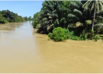 Sindikat Gadai Mobil Modus Leasing Bermasalah Kalsel di Bekuk, Caranya Canggih dan Berliku!