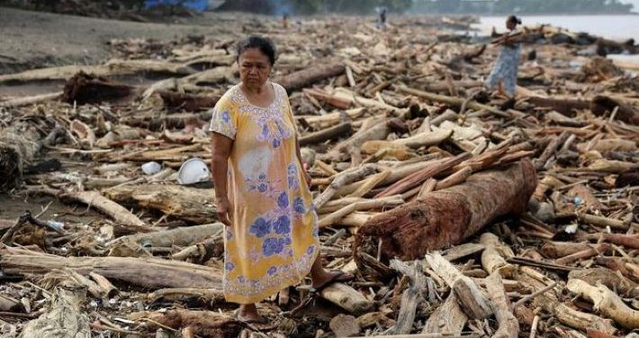 Banjir Sumatera: Blunder ‘Tolol’ Kemenhut yang Sebut Kayu Gelondongan Adalah Kayu Lapuk