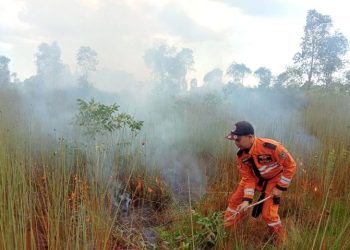 April Ini Kalsel di Prediksi Mulai El Nino Godzila, Kemarau dengan Suhu Ekstrem!