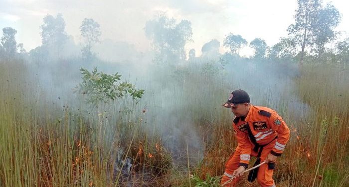 April Ini Kalsel di Prediksi Mulai El Nino Godzila, Kemarau dengan Suhu Ekstrem!