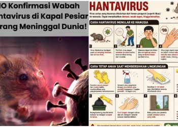 Apakah Virus Hanta Lebih Berbahaya dari COVID-19, Ini Penjelasan IDAI