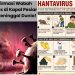 Apakah Virus Hanta Lebih Berbahaya dari COVID-19, Ini Penjelasan IDAI