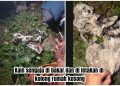 Teror Rumah Kosong Sengaja di Bakar di Tanta, Polisi Belum Bisa Tangkap Pelaku!