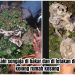 Teror Rumah Kosong Sengaja di Bakar di Tanta, Polisi Belum Bisa Tangkap Pelaku!