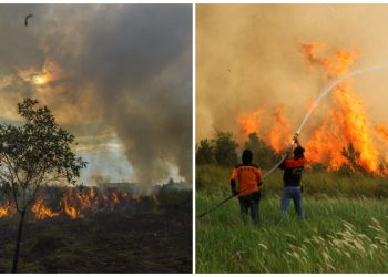 Kemarau di Kalsel Makin Membara, Tapi Sabtu 25 Juli 2026 Besok Ada Hujan Ringan