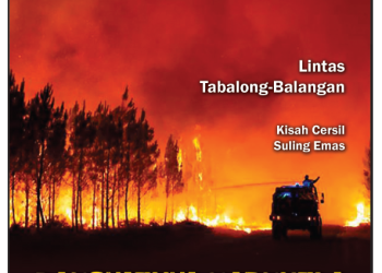 Pemerintah Belum Tetapkan Bencana Nasional Karhutla