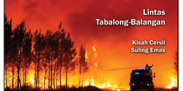 Pemerintah Belum Tetapkan Bencana Nasional Karhutla