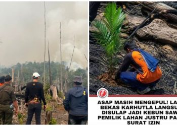 Asap Masih Ngepul, Sudah di Tanami Sawit, Prabowo Instruksikan Sita dan Tangkap Pemilik Lahannya