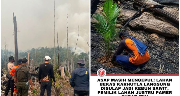 Asap Masih Ngepul, Sudah di Tanami Sawit, Prabowo Instruksikan Sita dan Tangkap Pemilik Lahannya