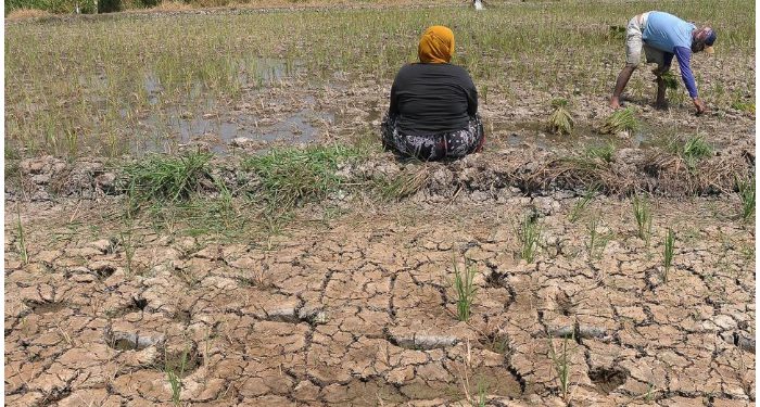 Oktober 2026 Indonesia Masih Terpanggang, Hanya Ada Hujan Ringan!