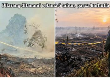Asap Masih Ngepul, Sudah di Tanami Sawit, Prabowo Instruksikan Sita dan Tangkap Pemilik Lahannya