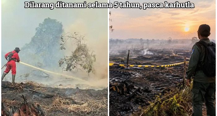Asap Masih Ngepul, Sudah di Tanami Sawit, Prabowo Instruksikan Sita dan Tangkap Pemilik Lahannya