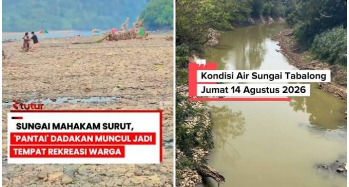 Sungai-sungai Di Kalimantan Surut Ekstrem Bahkan Kering, Sungai Tabalong Bahkan Hanya Selutut!